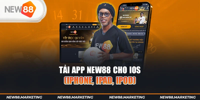 e88 gà chọi cậu thanh
