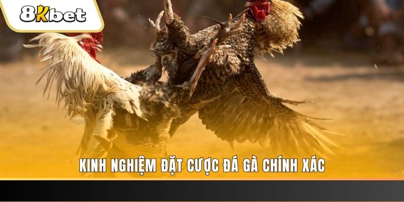 e88 xổ số thứ bảy hàng tuần