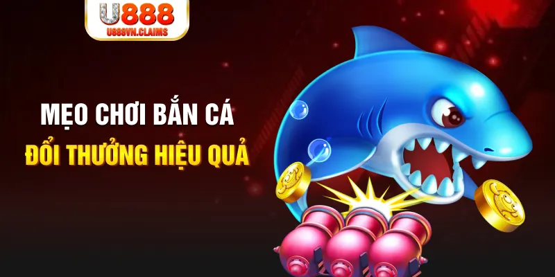 e88 gà chọi cam ranh