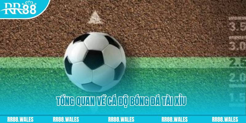 e88 đăng nhập roulette online