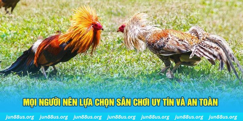 e88 Cỡ bảy