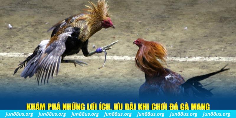 e88 đăng nhập liêng live
