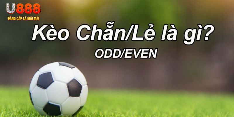e88 đăng nhập sòng bạc 2024