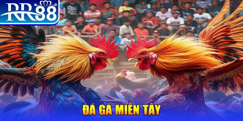 e88 người chia bài trong casino gọi là gì